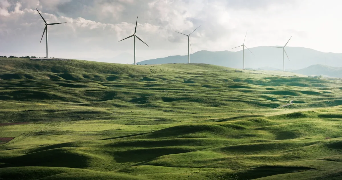 The Complete Guide to Website Carbon Badges